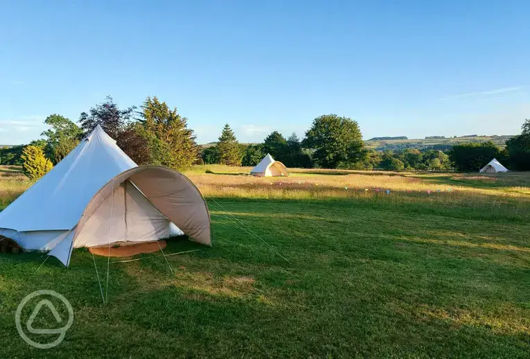 Bell tents at Firecrest Valley