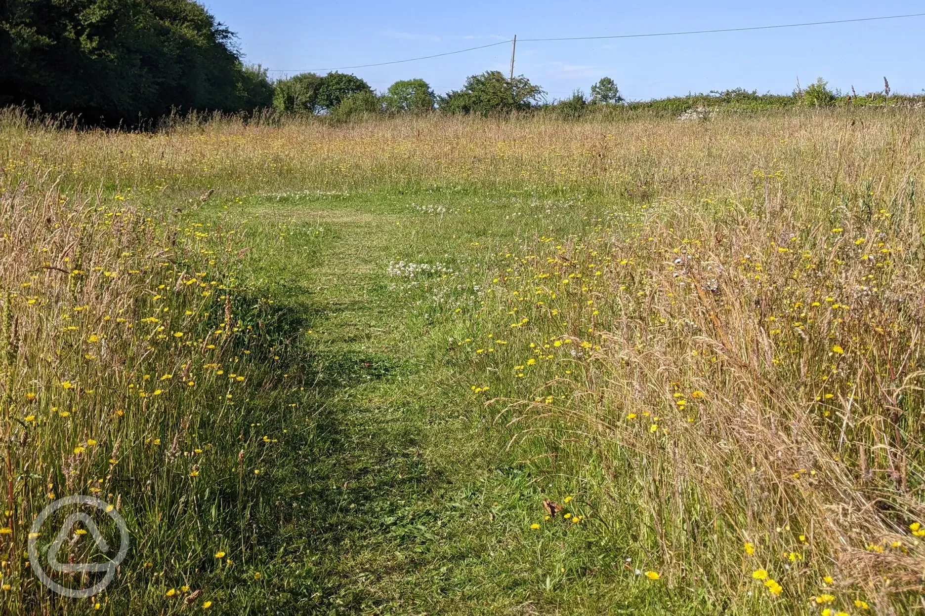 Pitches cut into the meadow