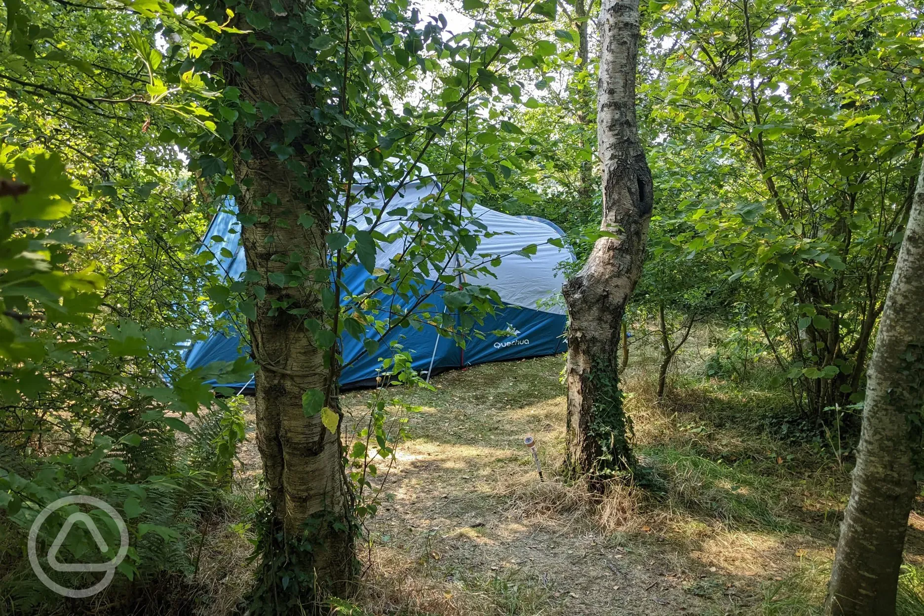 Woodland camping