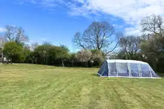 Non electric grass tent pitches surrounded by trees Non electric grass tent pitches surrounded by trees