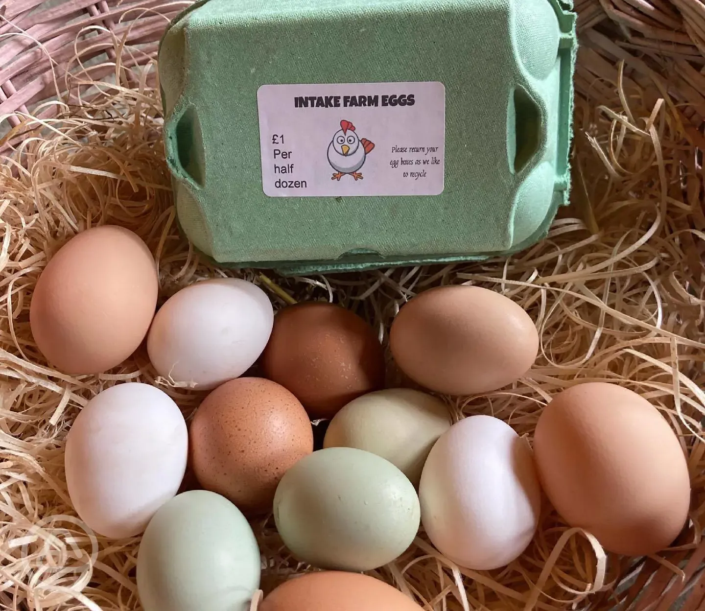 Farm eggs