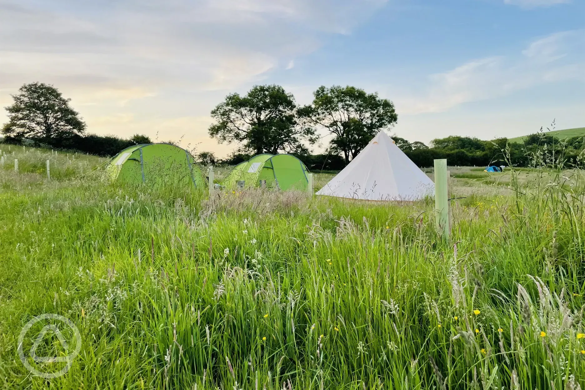 Non electric grass tent pitches