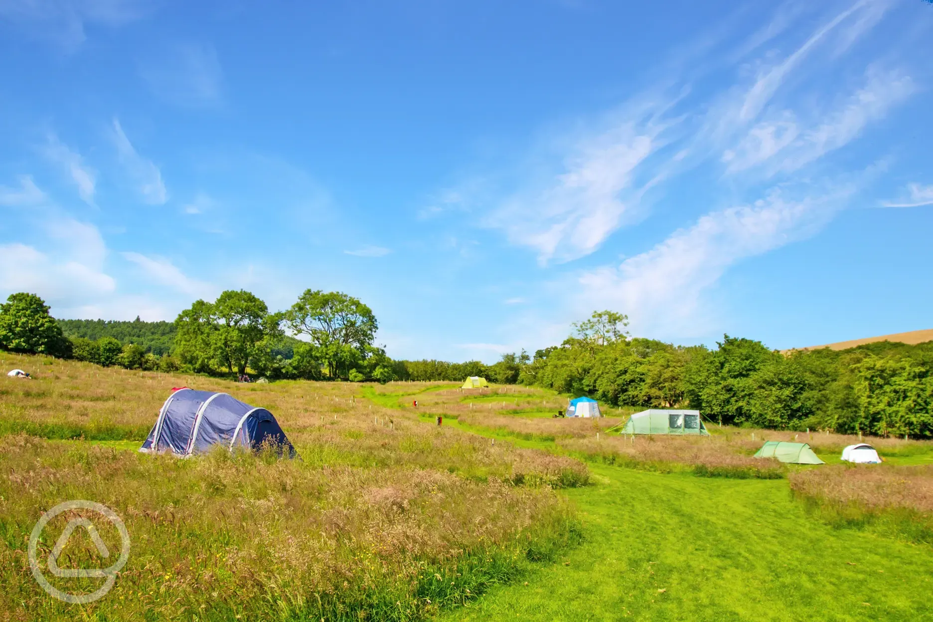 Non electric grass tent pitches