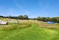 Non electric grass tent pitches