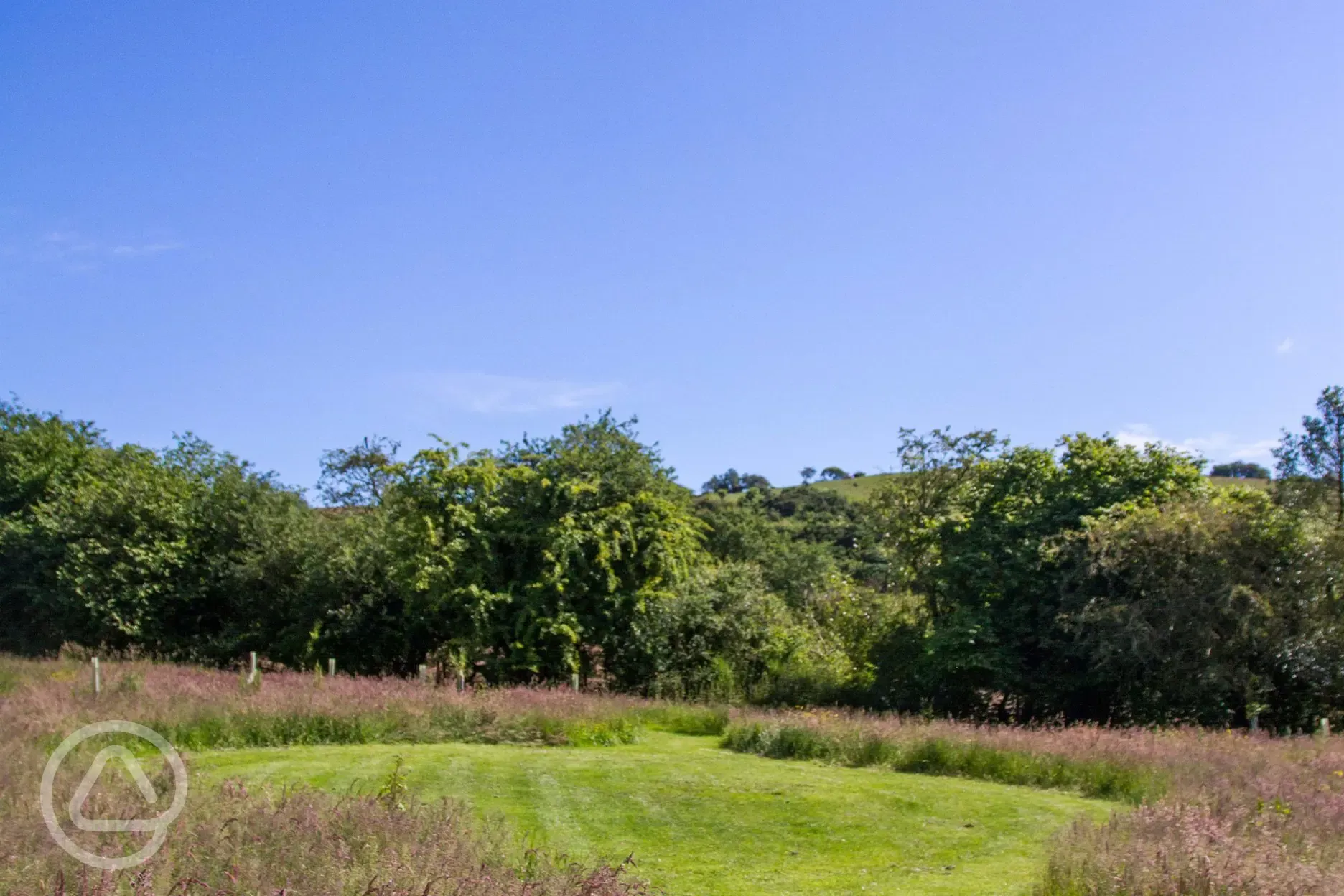 Non electric grass tent pitches