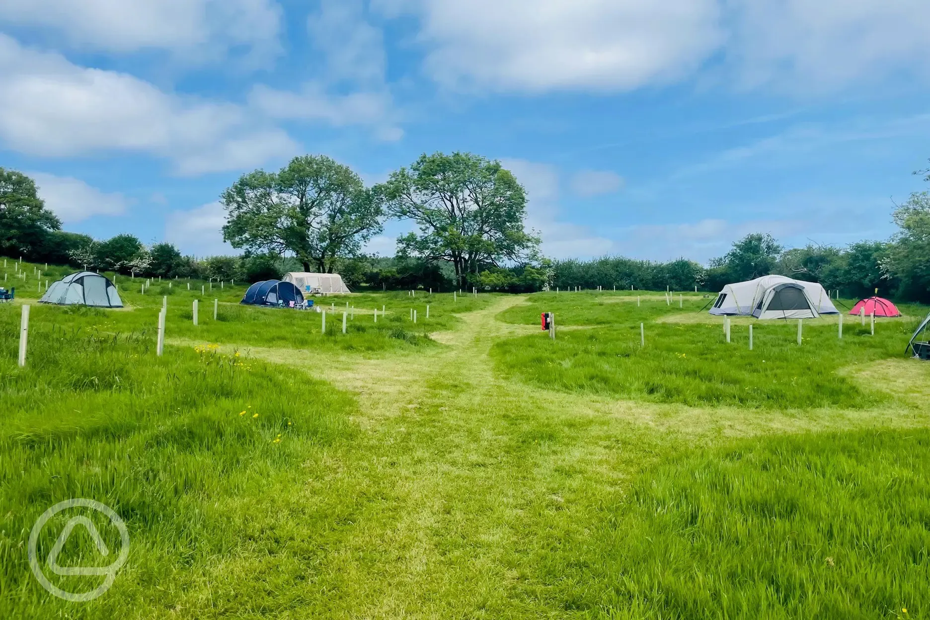 Non electric grass tent pitches