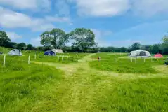 Non electric grass tent pitches