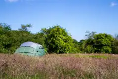 Non electric grass tent pitches