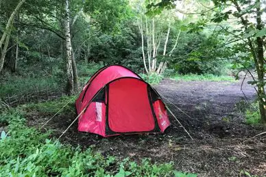Wrekin Forest Camping