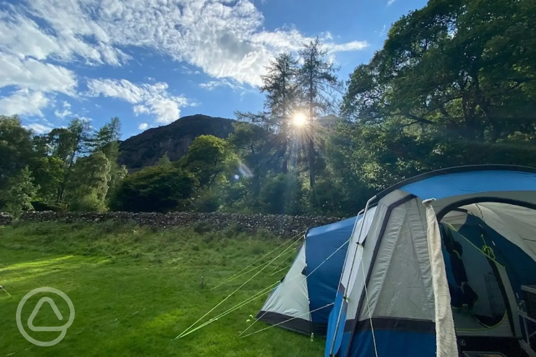 Non electric grass pitches surrounded by woodland