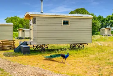 Shepherd's huts