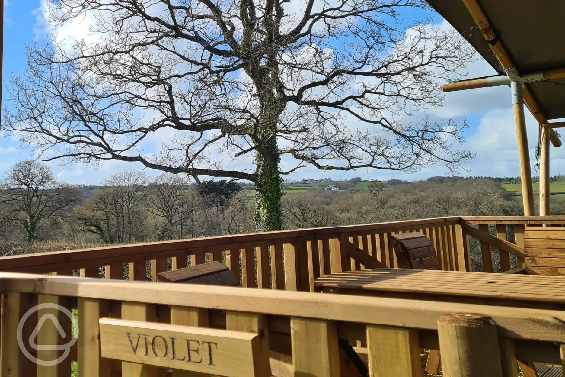 Violet safari tent and decking area