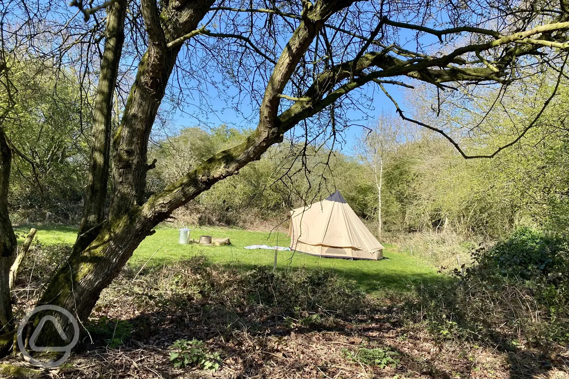 Grass tent pitches