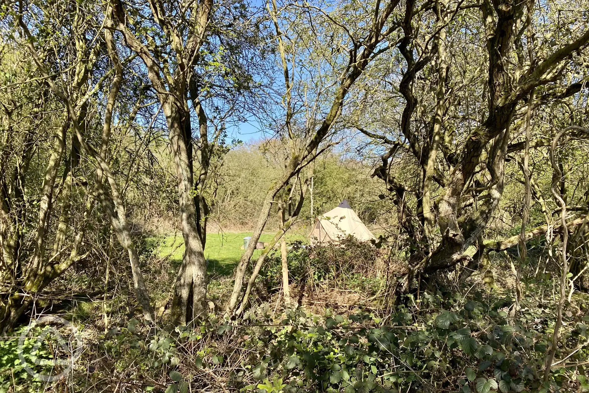 Grass tent pitches