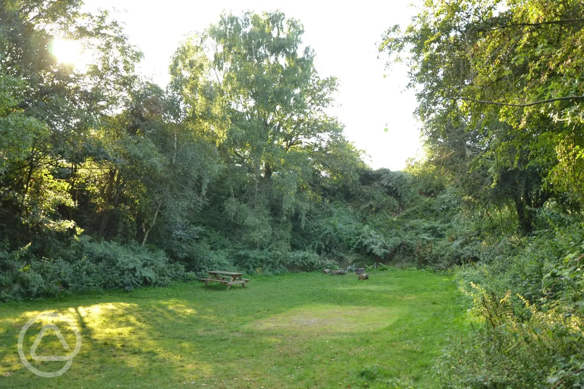 Large Woodland Group Pitch The Hollow