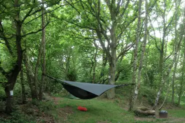 Small woodland tent pitches (family friendly)