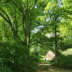 Grass tent pitches