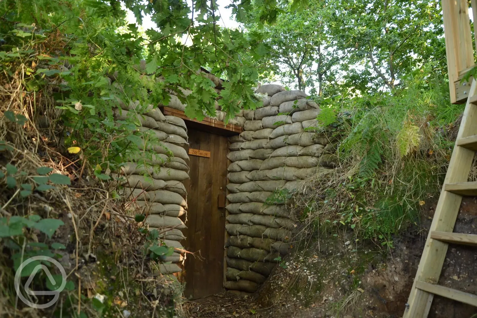  Sgt Taylor's bunker