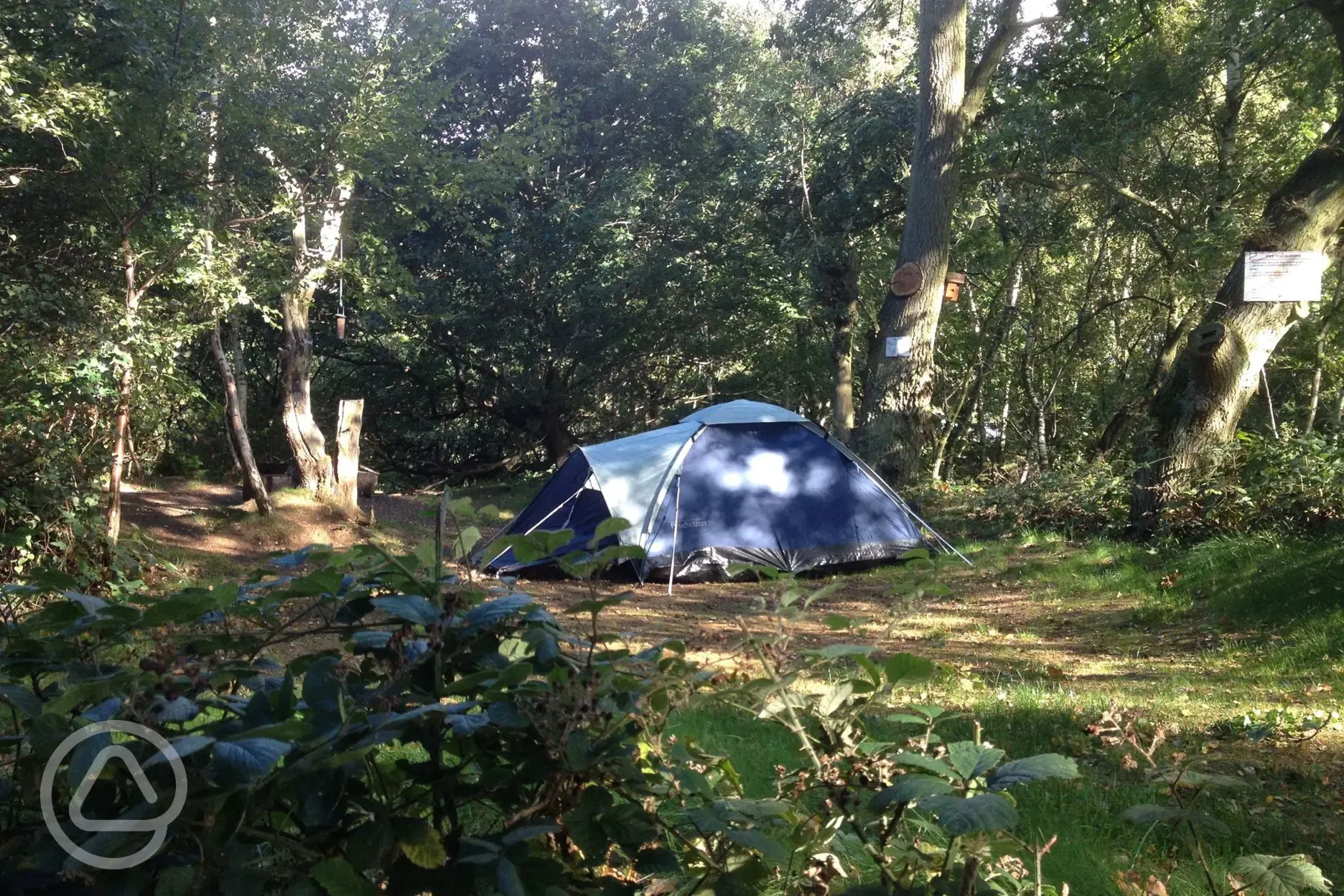 Medium woodland tent pitches