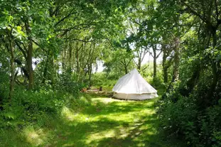Dreamy Hollow Woodland Campsite and WW1 Trenches, Stanhoe, Kings Lynn, Norfolk
