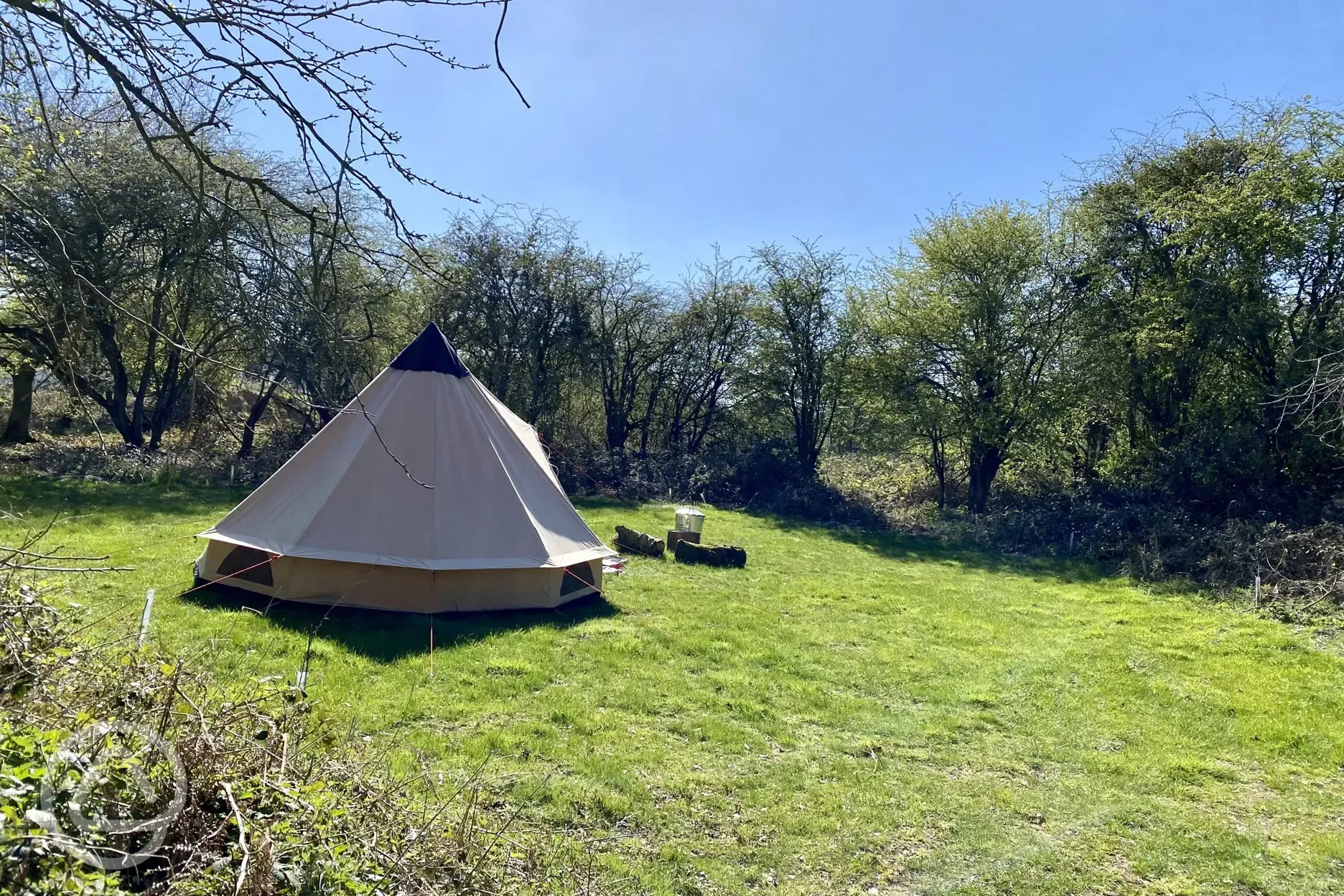 Grass tent pitches