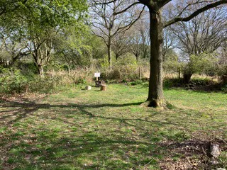 Grass tent pitches