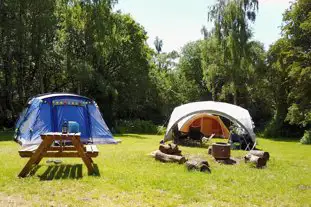 Dreamy Hollow Woodland Campsite and WW1 Trenches, Stanhoe, King's Lynn, Norfolk