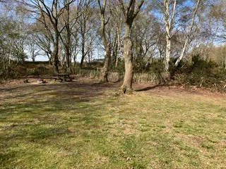 Grass tent pitches