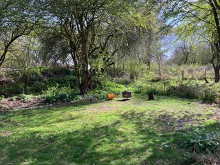 Grass tent pitches