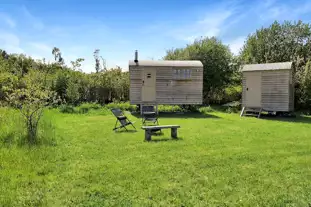 Bramble Meadow, South Devon, Newton Abbot, Devon