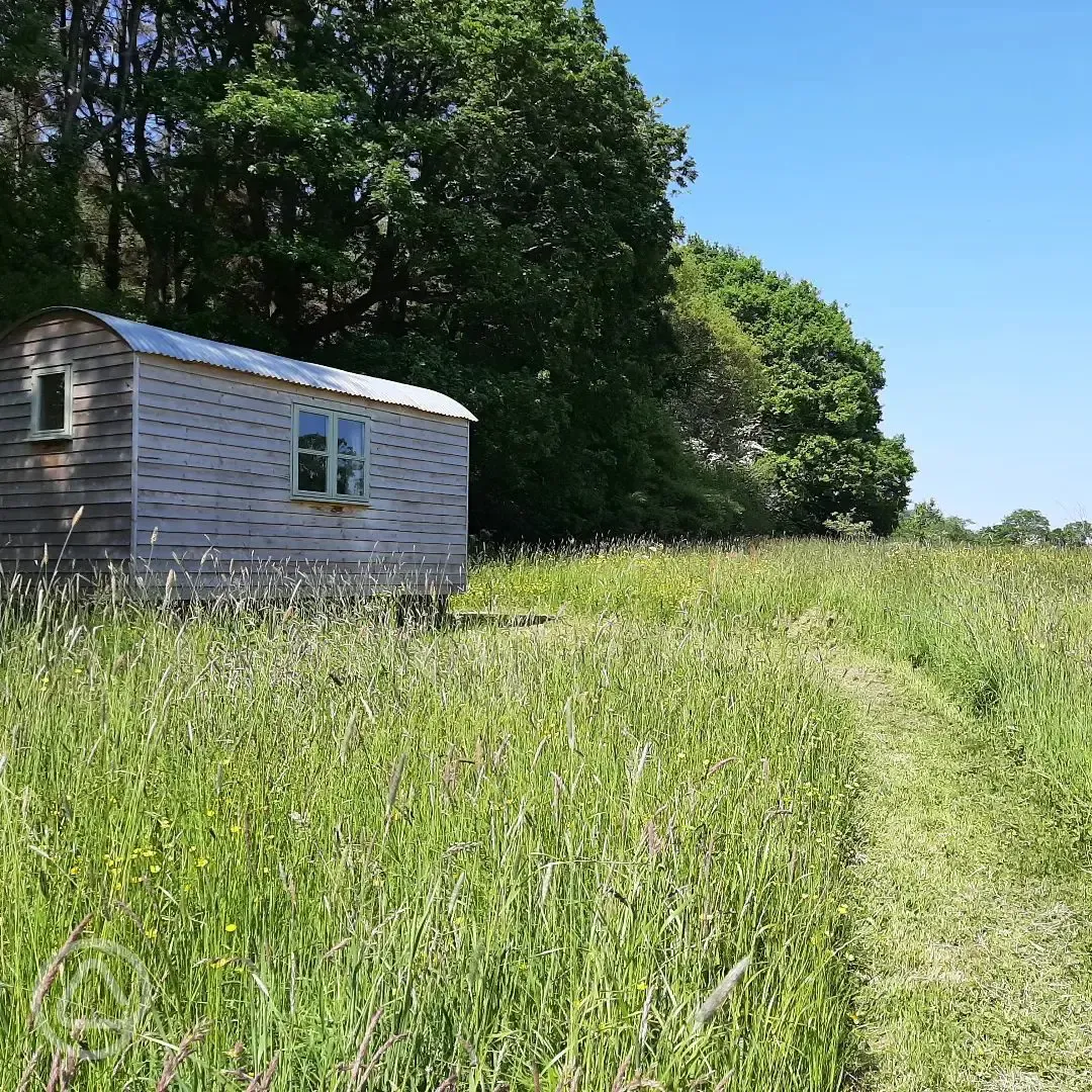 Willow shepherd's hut