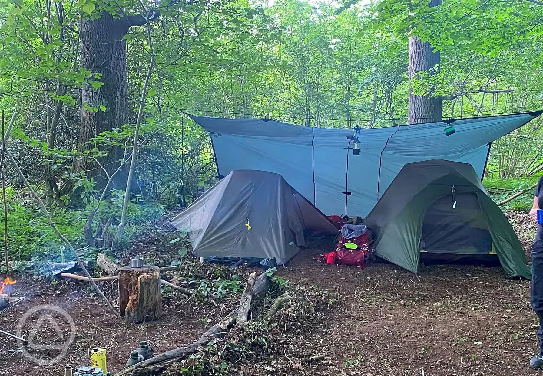 Non electric wild tent pitches - Littlewood