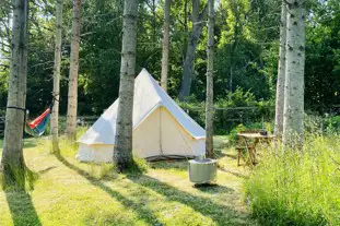 Woodlands Camping, Alresford, Hampshire (8.4 miles)