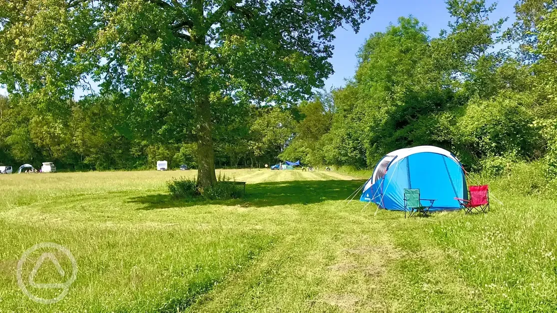 Woodlands camping deals