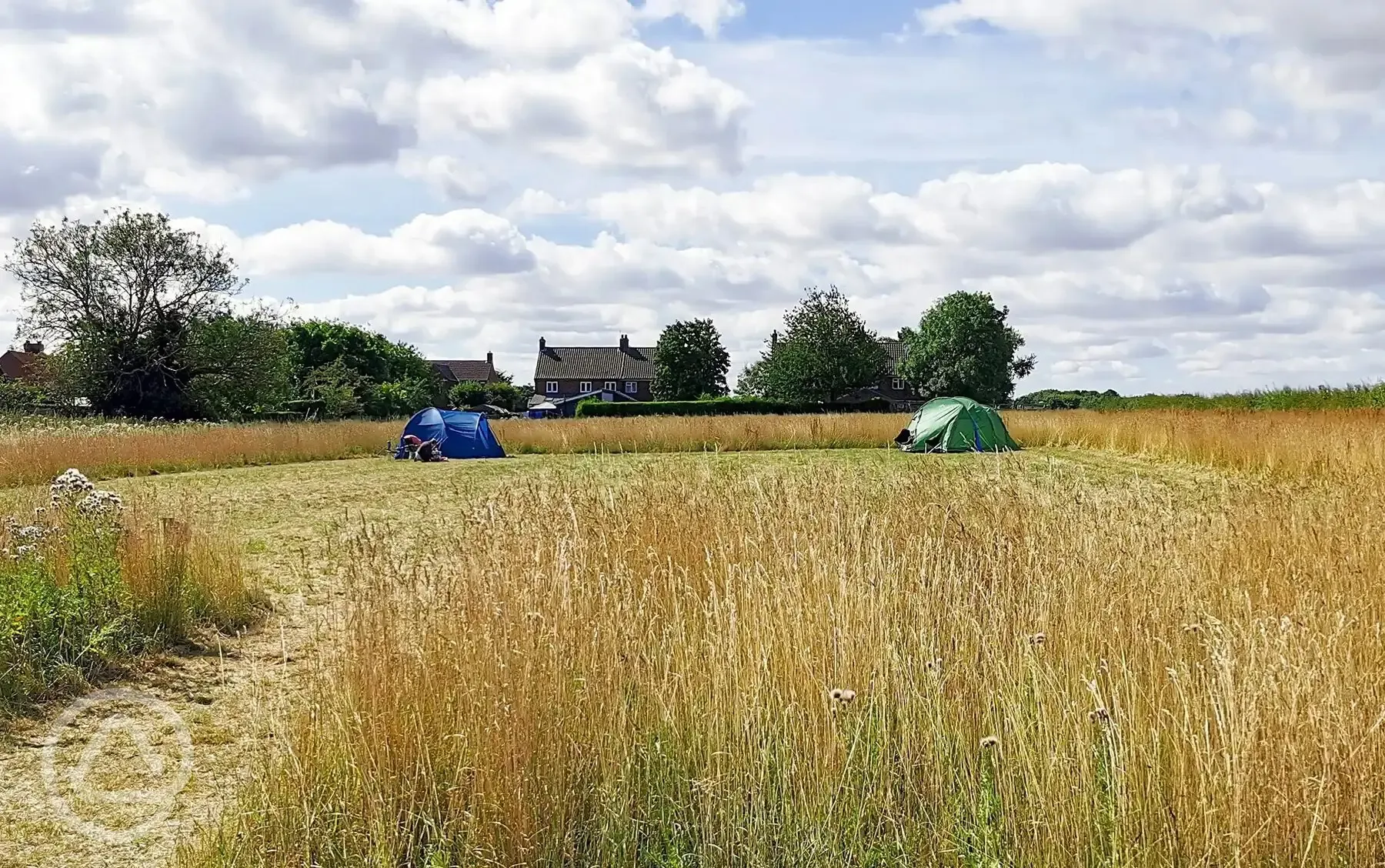 Grass pitches