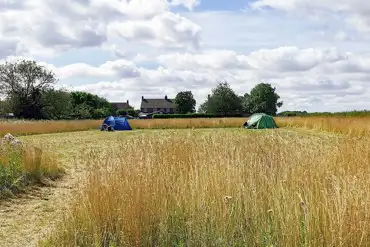 Grass pitches