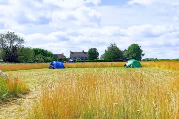 Grass pitches (3m x 5m) for tents and trailer tents