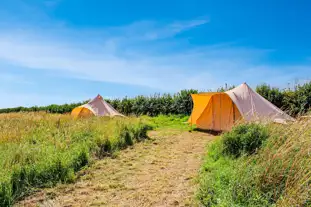 Gresham Hall Glamping, Aylmerton, Norfolk (8.6 miles)