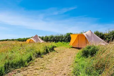 Gresham Hall Glamping