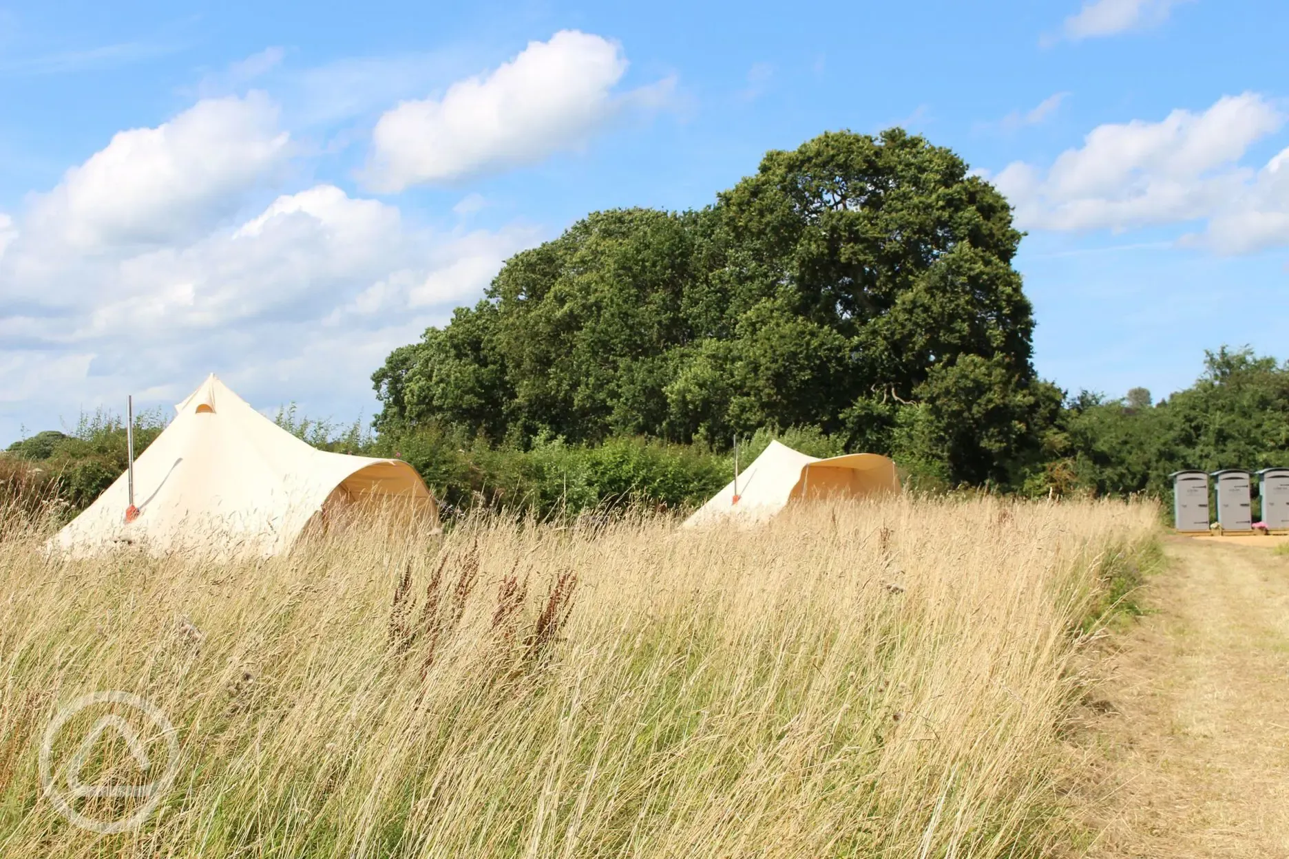 Bell tents in the meadow