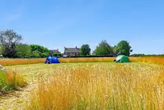 Grass pitches (3m x 5m) for tents and trailer tents