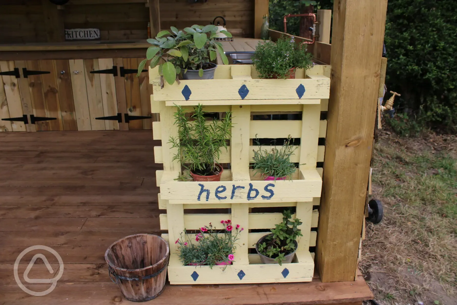 Camp kitchen herbs