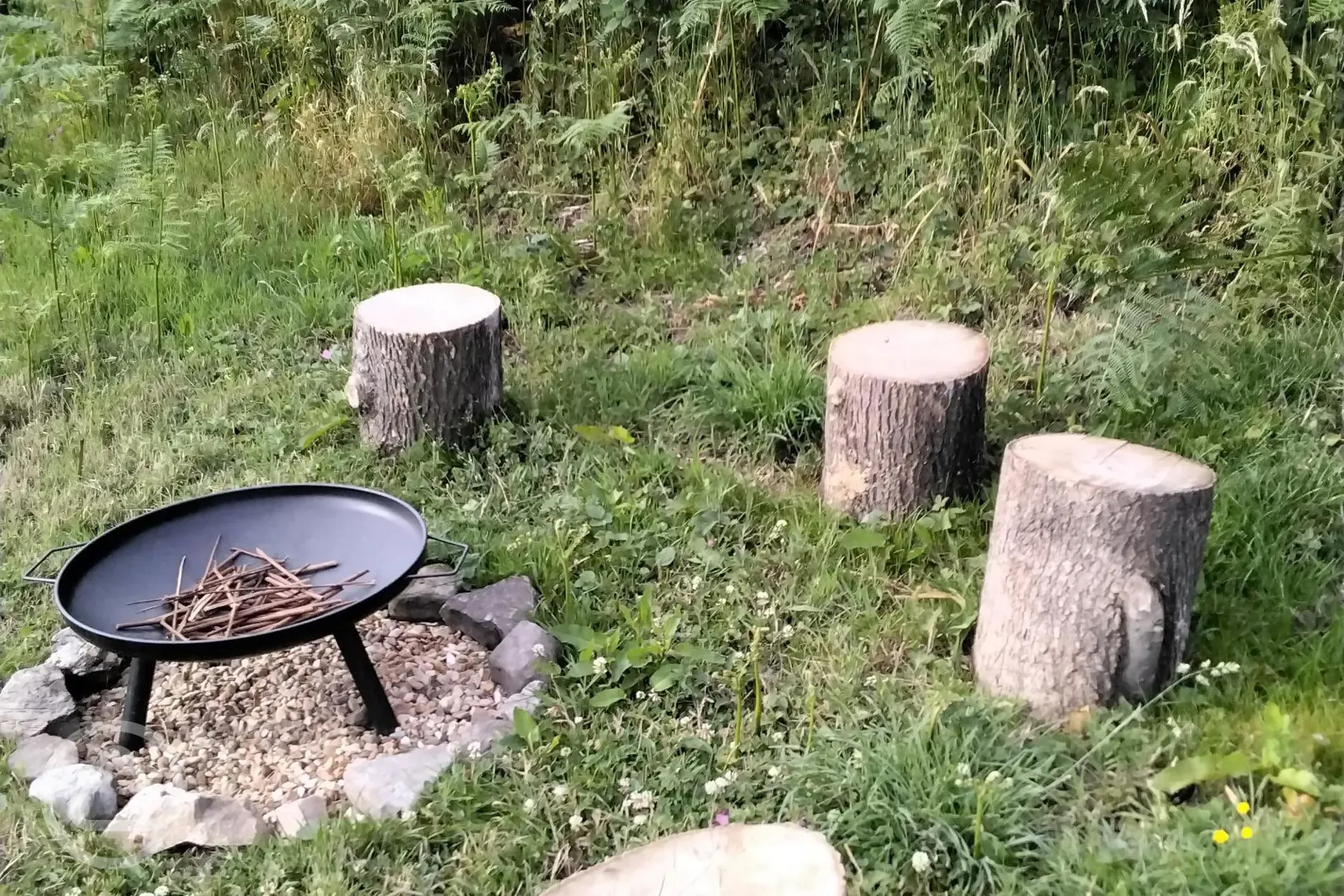 Fire pit