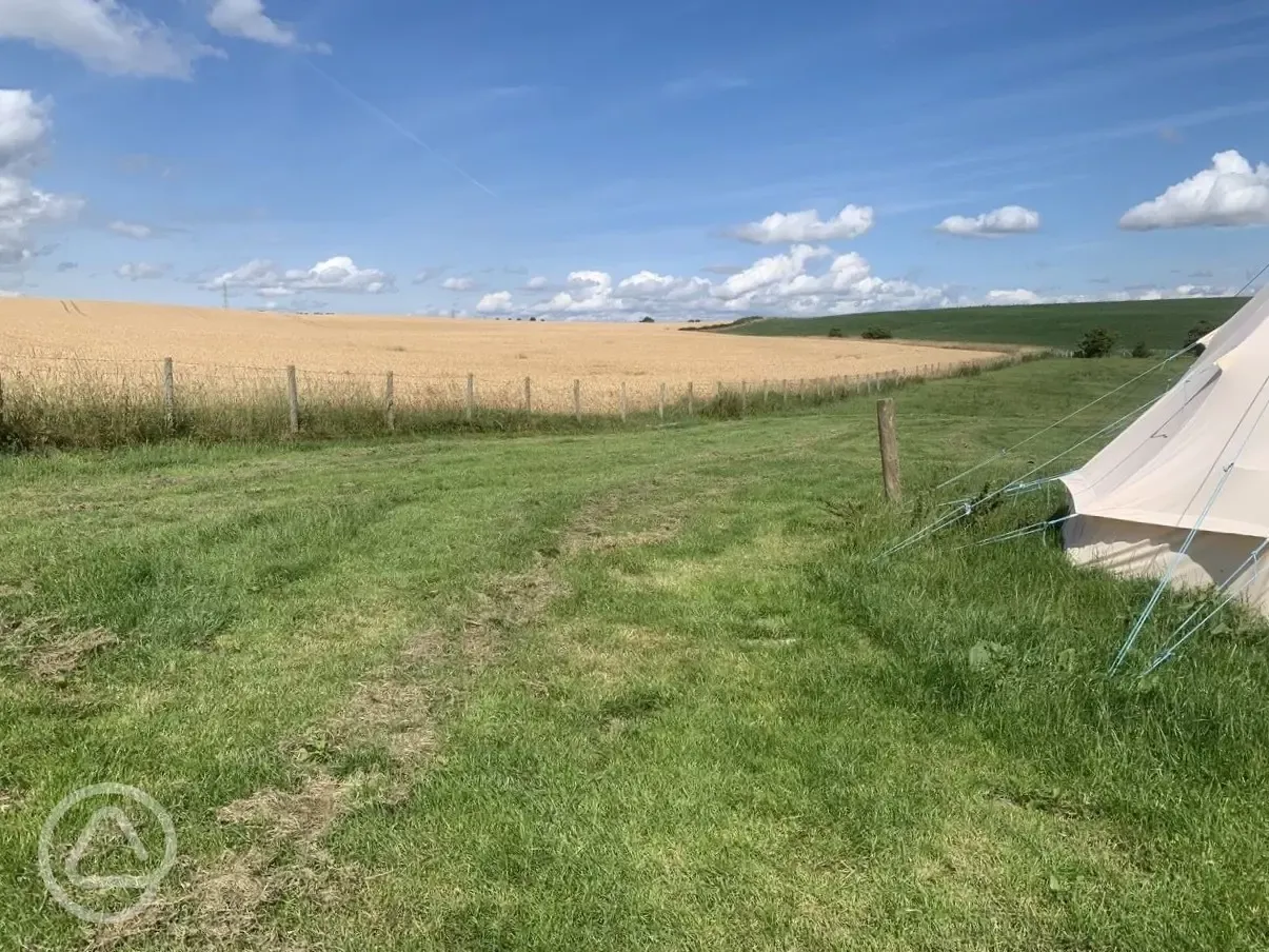 View from the bell tent 