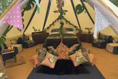 Jungle bell tent interior