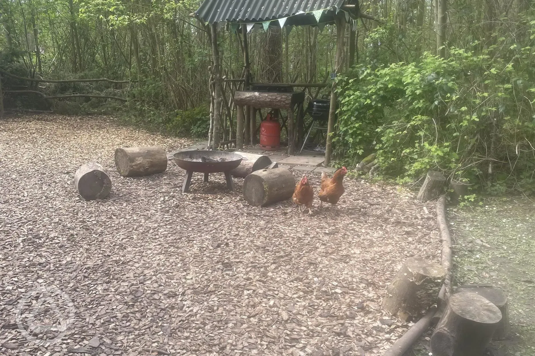 Jungle bell tent private outside area