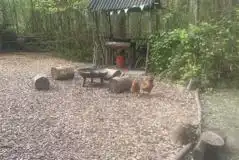 Jungle bell tent private outside area