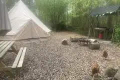 Jungle bell tent with picnic bench and under cover cooking area