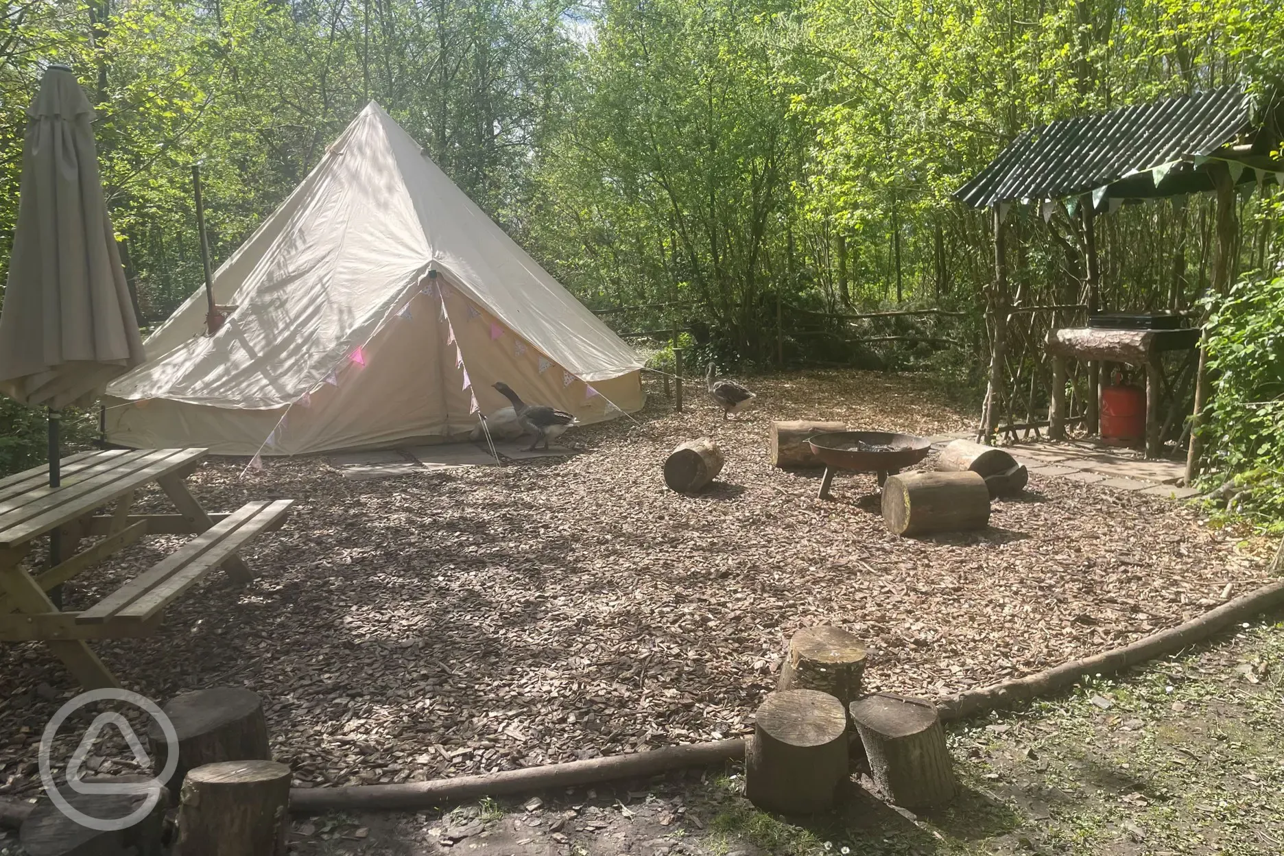 Jungle bell tent seating area and private clearing