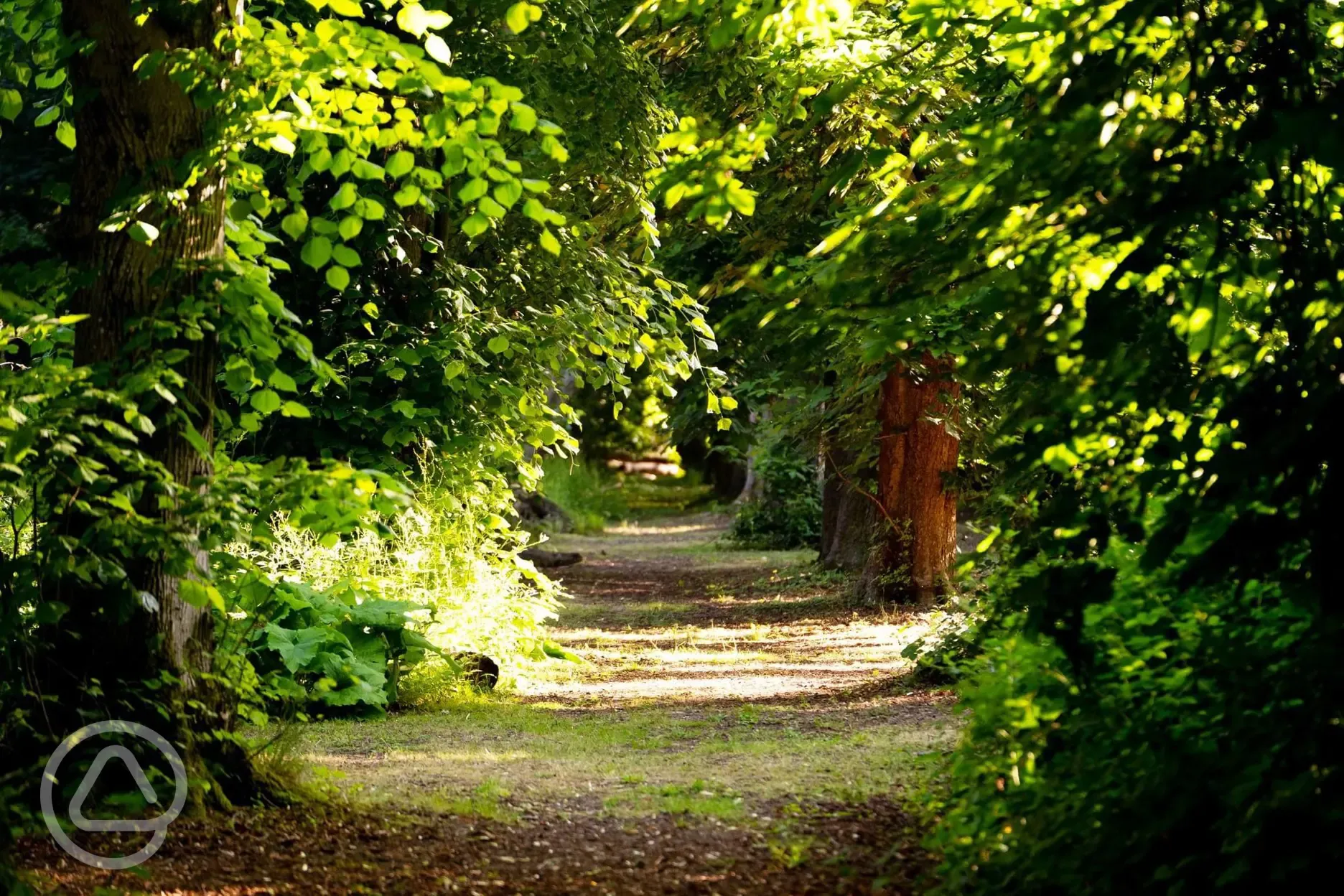 Woodland walks